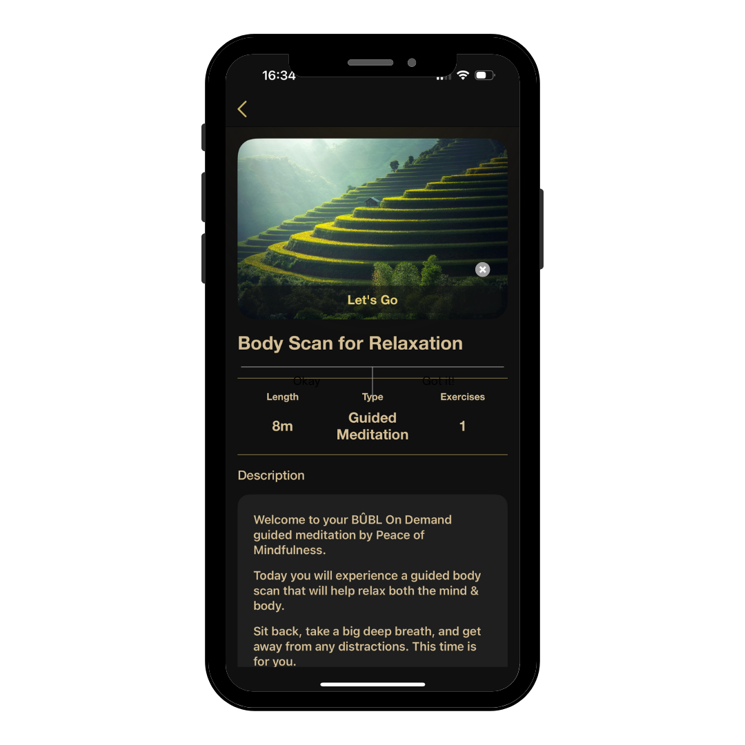 Guided Meditations for a Healthy Mind